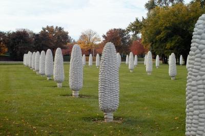 Field of Corn in Dublin, Ohio