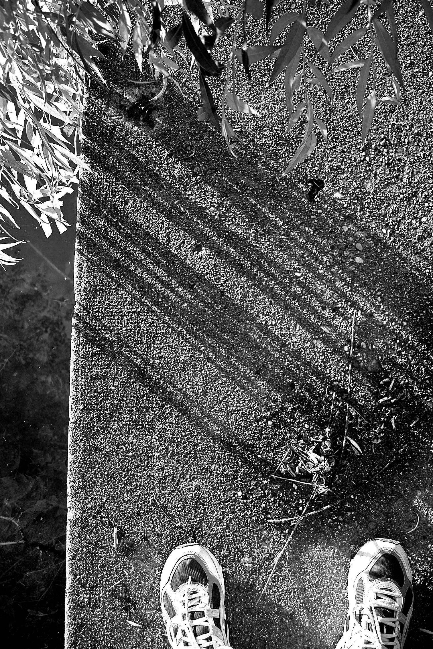 Leaves, shadows and feet...