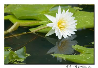 DSC_0111.jpg
