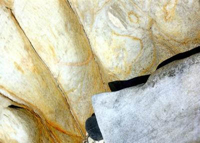 study-in-stone-1