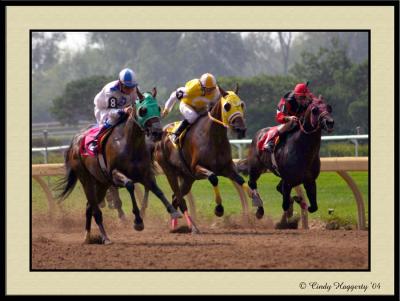 Fort Erie Race Track 10