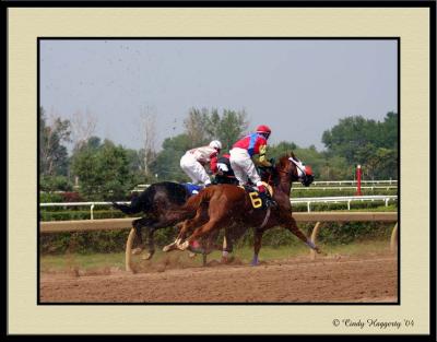 Fort Erie Race Track 11