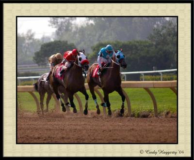 Fort Erie Race Track 19