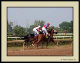 Fort Erie Race Track 11