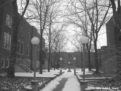 Old Louisville in Black and White