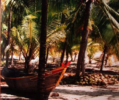 coconutgrove Vietnam.jpg