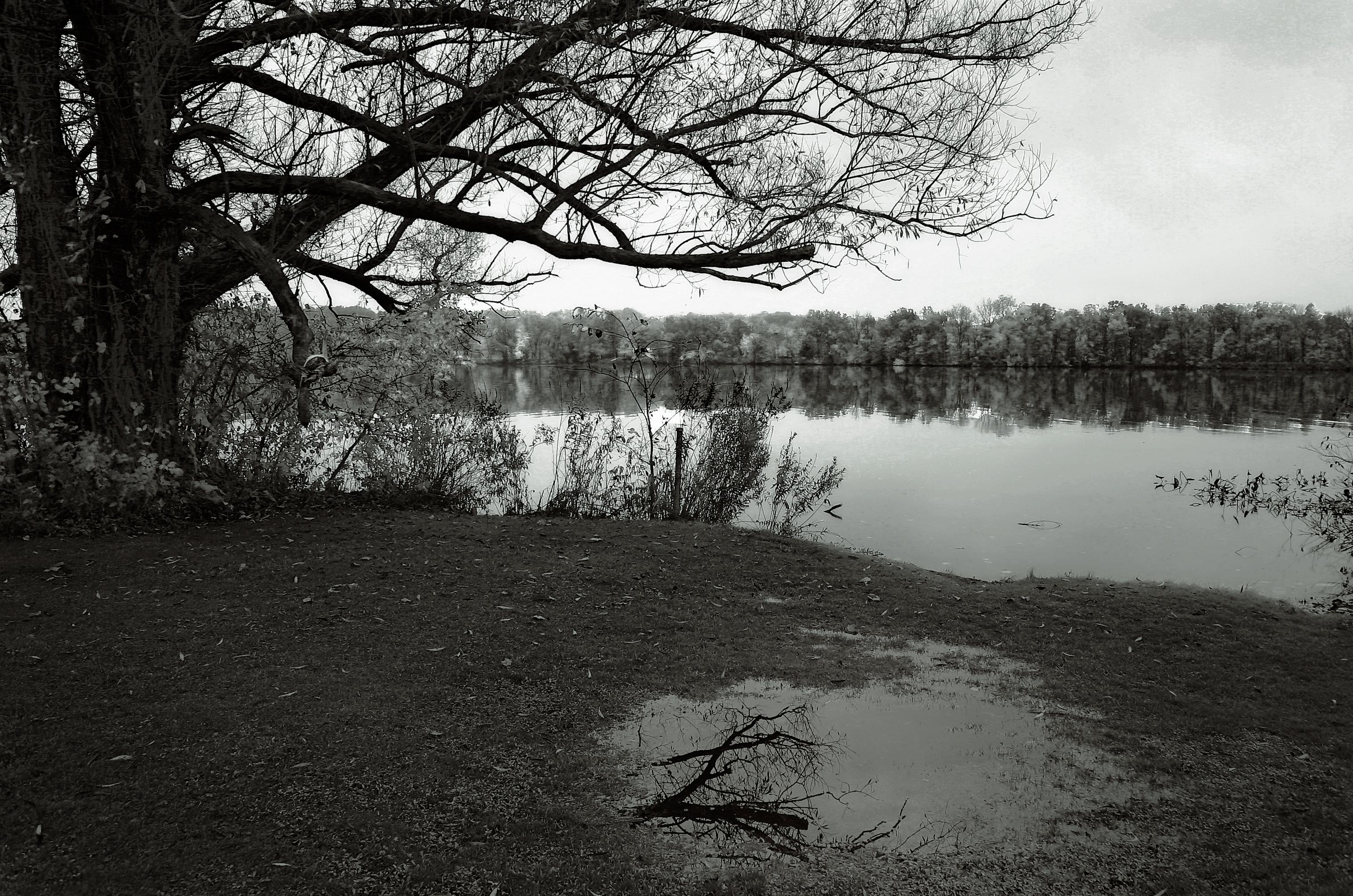 gloomy day at river oaks
