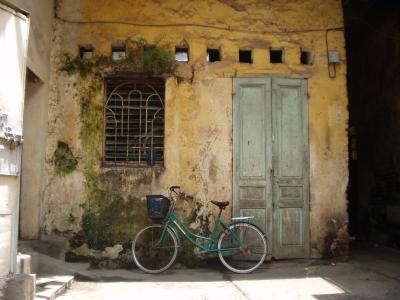 Bicycle, jungle rot, yellow