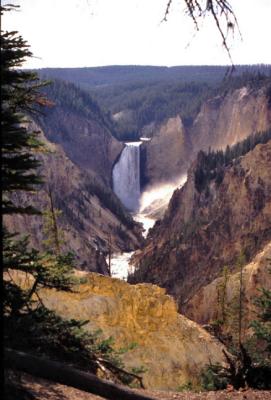 Yellowstone