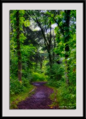 Forest Green