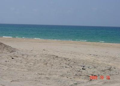 DSC00974.JPG