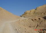 DSC01020.JPG
