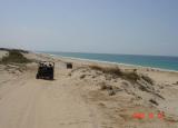 DSC00973.JPG