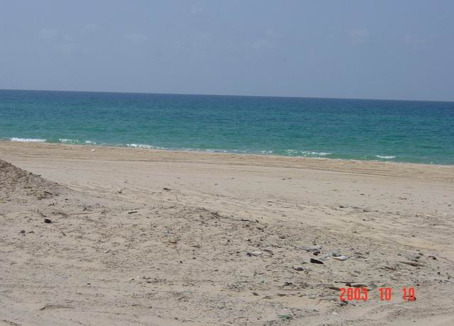 DSC00974.JPG