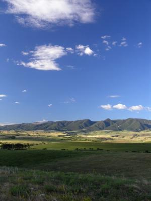 How green it is, for July. All the way through Wyoming and Montana, the rains this spring and early summer have been above average and the weather has been cooler than normal. After so many desperately dry summers in recent years the cool, damp weather has been a great relief.