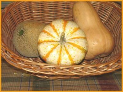 Relations of the Gourd<br>by Vicky