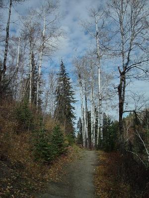 Trail 2 by canadian ann