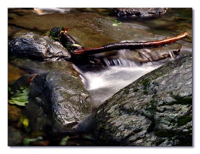 Challenge 54 Header