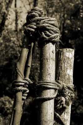 Rope Hinges*by Ed Hahn