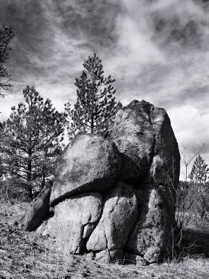 The Rock *  by mlynn