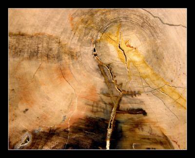 Hickory Stoneby MFC