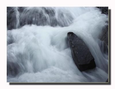 Boulder Swimming Upstream To Spawn Dale Unruh.jpg
