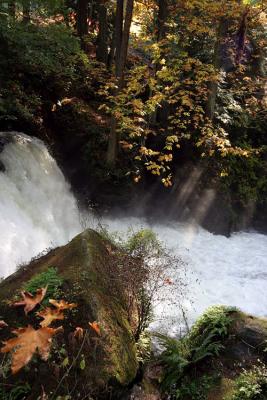 Water Over Stone*by Ann Chaikin
