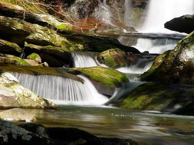 Stones/Moss/Waterby Bill Borne