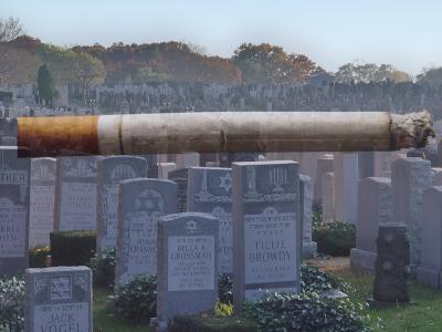 The Cancer Stick and Stones  by Harry Behret