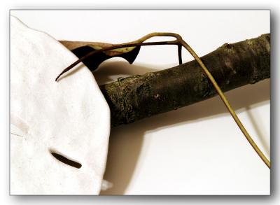 Sticks and Stones- sample