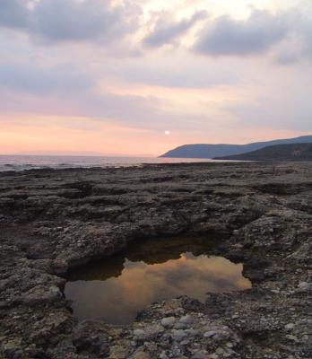Rockpool just before sunsetby Penelope