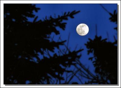 Moon From My Patio *