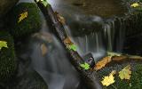 <B>3rd- A Stick and Some Stones and Leaves by Mike Ezell</B><BR><FONT size=2></FONT>