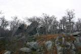 <b>Cemetery</b>*<br>by Ed Hahn</br>