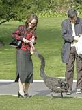 <b>Snake!</b>...<b>Snake!</b><br><font size = 1>by Mike Fitzgerald</font>