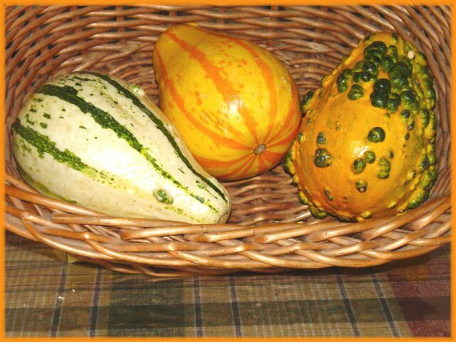 Oh My Gourd!  jpg<br>by Vicky