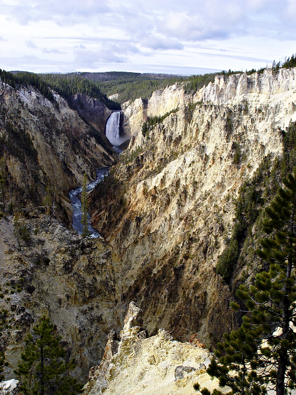 Yellowstone 4 * <br> by mlynn