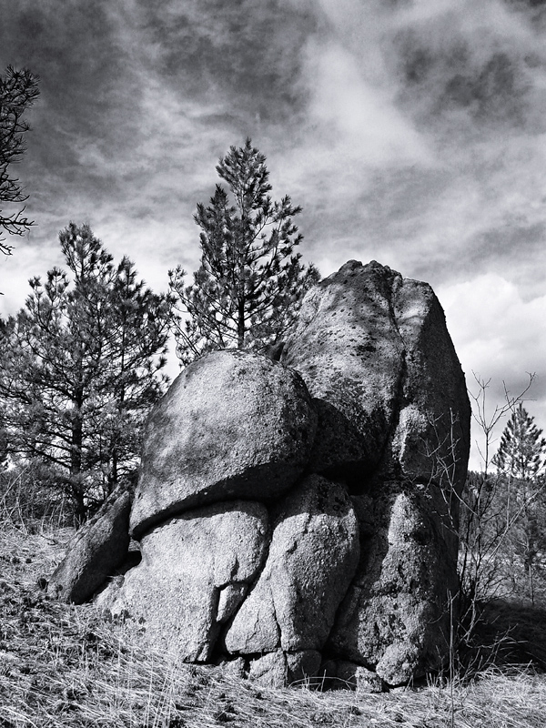 The Rock * <br> by mlynn