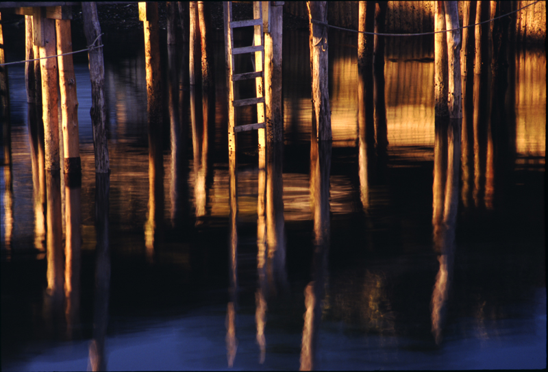 <b>4th (tie)-Piling Reflections</b><br><font size=1>by Phil Johnson *</font>