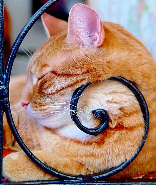 ...do not disturb!