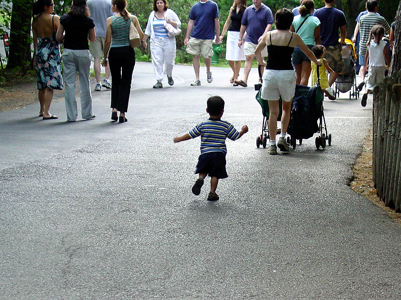 <p align=center><b>Wait Up!</b>  *<br> <font size=1> by EWKPhoto</font></p>