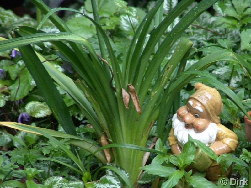 When the garden needs some work, who do you call...