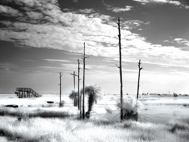 wetlands