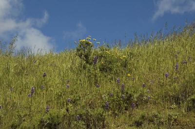 DSC_1070.JPG
