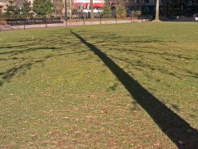 Shadow