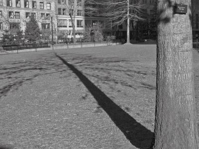 B&W Shadow