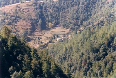 u34/subroto_sen/medium/34737891.Chail_Valley.jpg