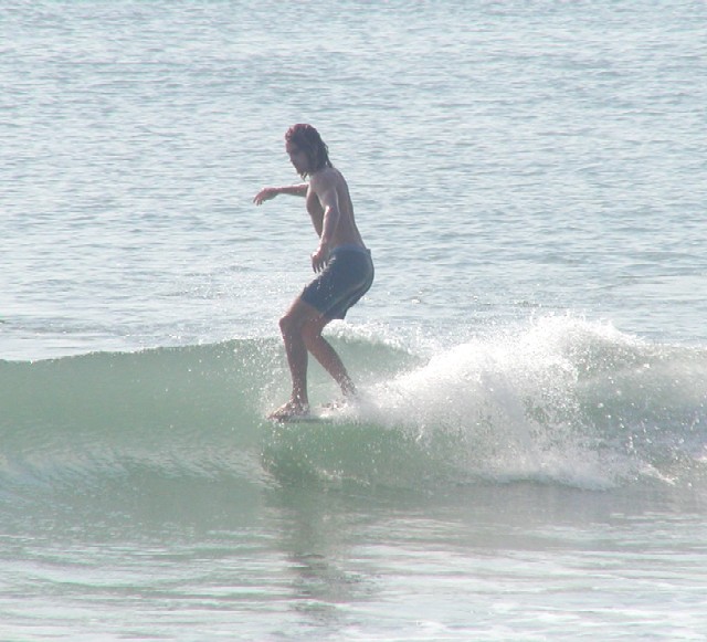P1010049aa.JPG
