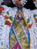 Ponnadikal Jeeyar Swamy 9th day with Prapanna pagai-2