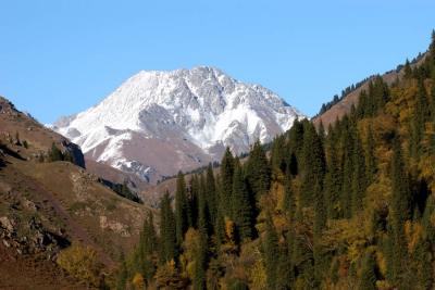 u34/syling/medium/34790596.DSC_7544.jpg